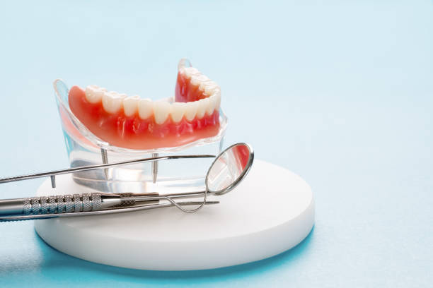 Best Pediatric Dentistry  in Carroll Valley, PA